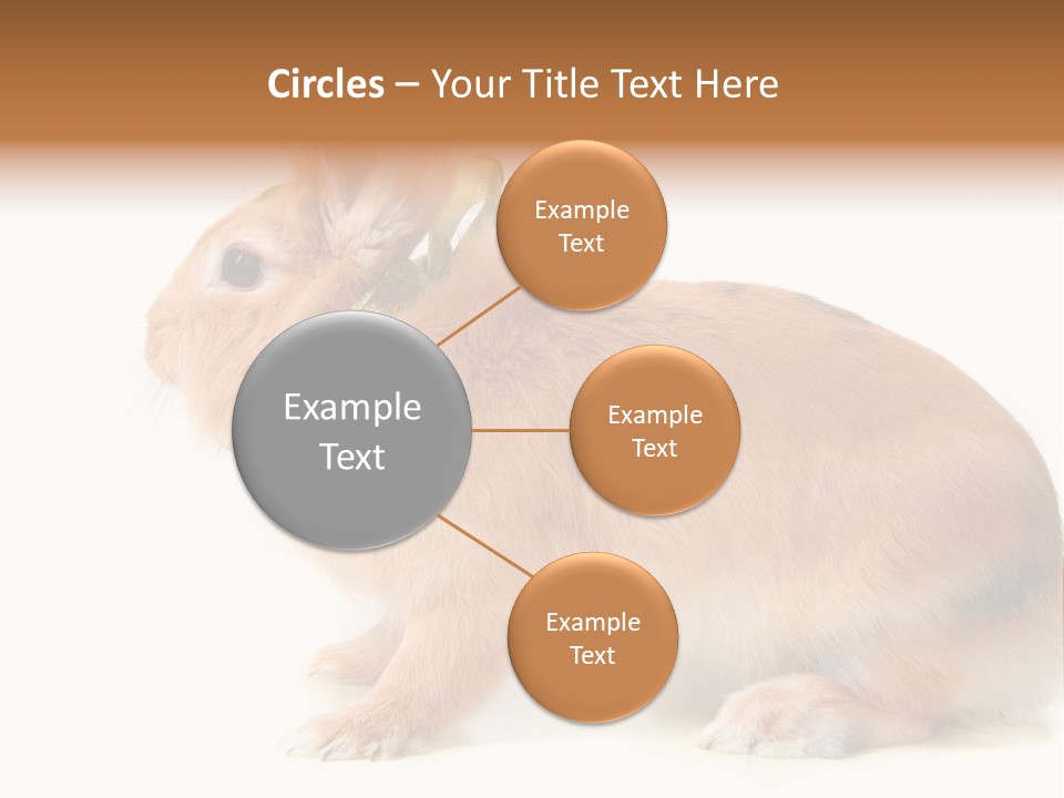 Easter Stylish Bunny PowerPoint Template