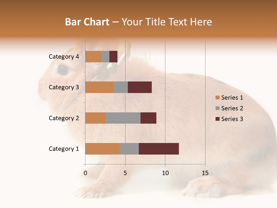 Easter Stylish Bunny PowerPoint Template