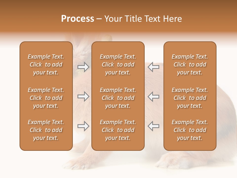 Easter Stylish Bunny PowerPoint Template