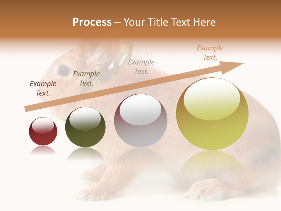 Easter Stylish Bunny PowerPoint Template