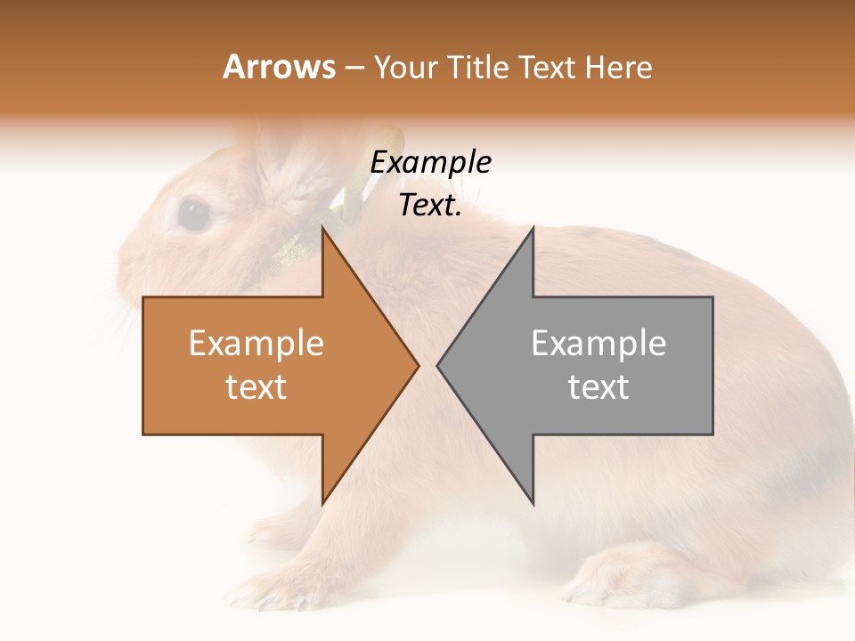 Easter Stylish Bunny PowerPoint Template