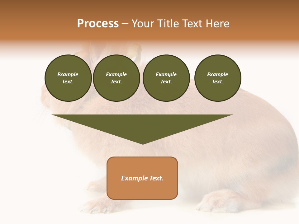 Easter Stylish Bunny PowerPoint Template