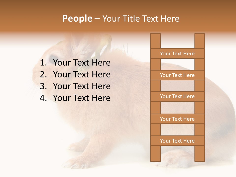 Easter Stylish Bunny PowerPoint Template