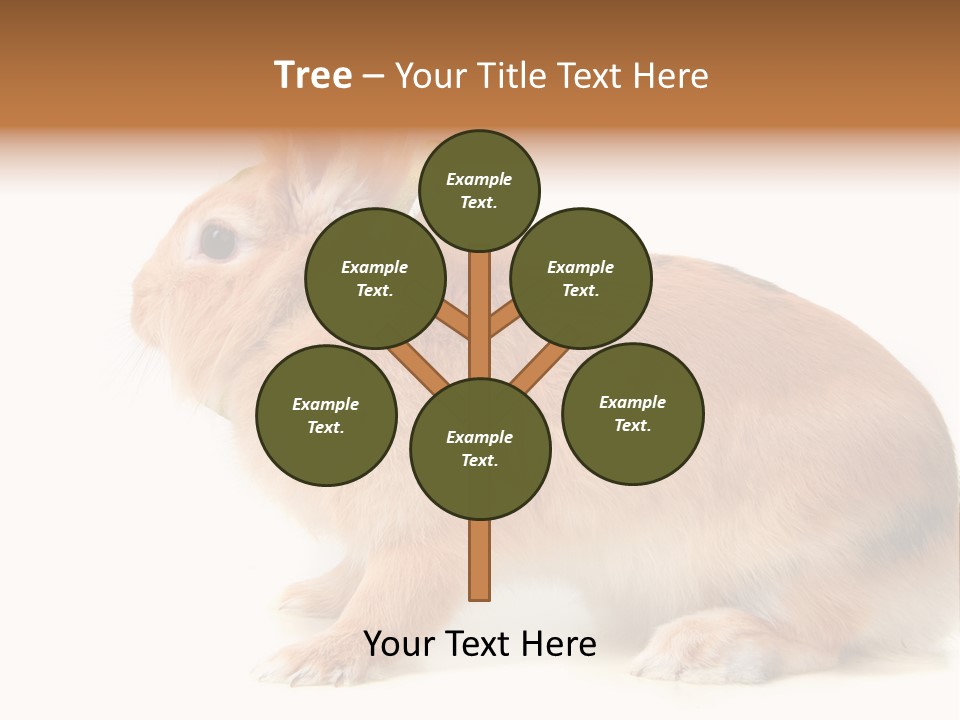 Easter Stylish Bunny PowerPoint Template