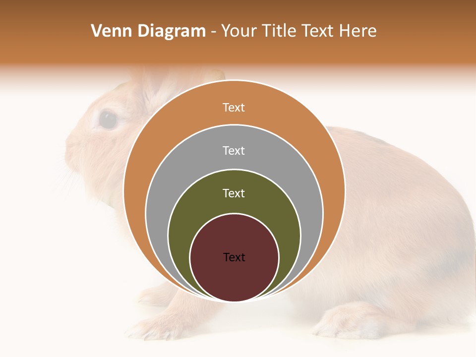 Easter Stylish Bunny PowerPoint Template