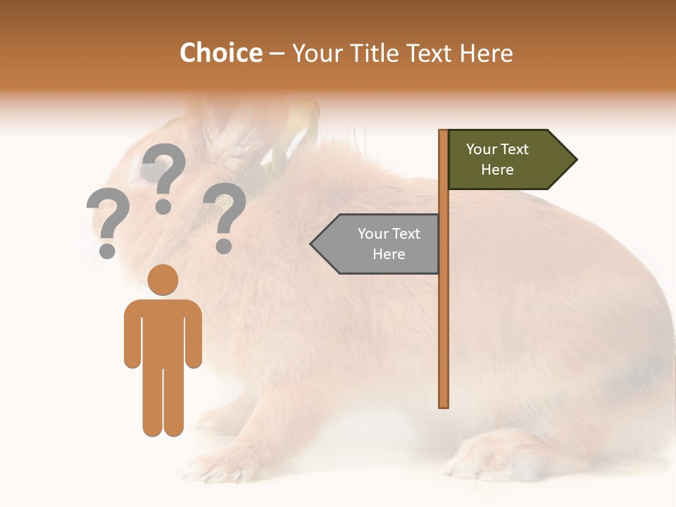 Easter Stylish Bunny PowerPoint Template