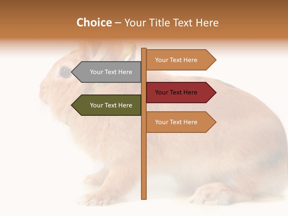 Easter Stylish Bunny PowerPoint Template