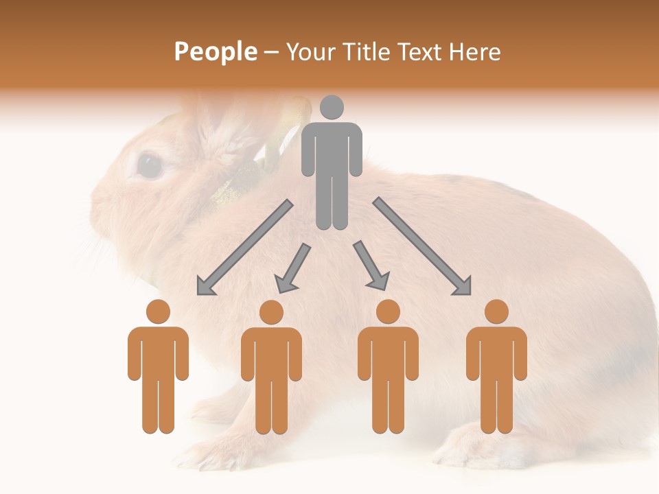 Easter Stylish Bunny PowerPoint Template