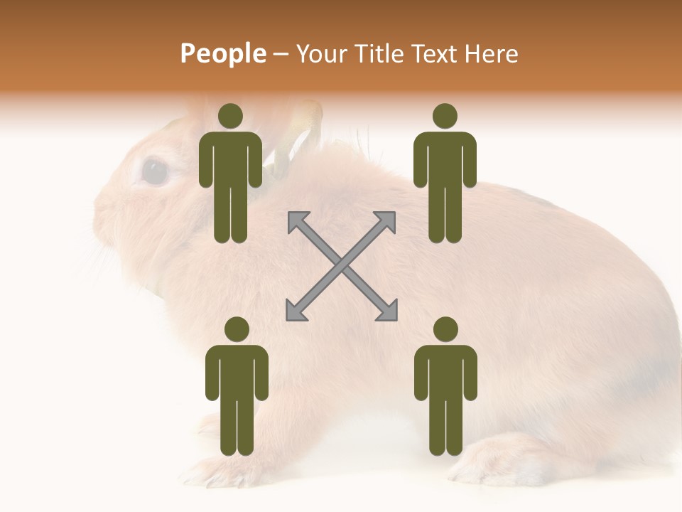 Easter Stylish Bunny PowerPoint Template