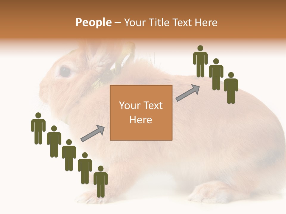 Easter Stylish Bunny PowerPoint Template
