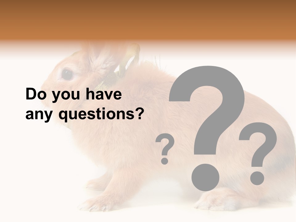 Easter Stylish Bunny PowerPoint Template