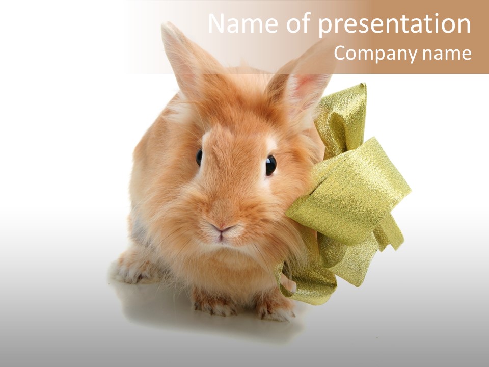 Animal Scarf Fluffy PowerPoint Template