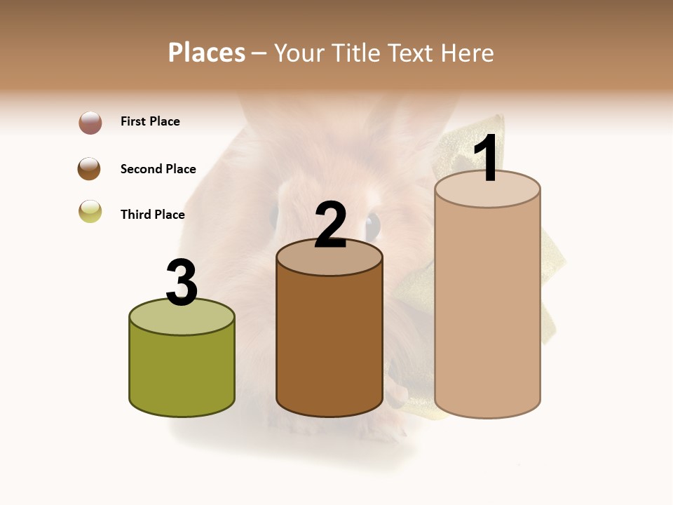 Animal Scarf Fluffy PowerPoint Template