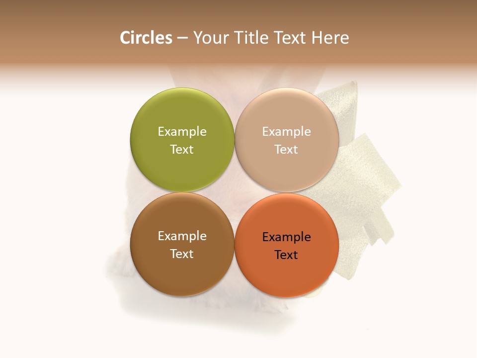 Animal Scarf Fluffy PowerPoint Template