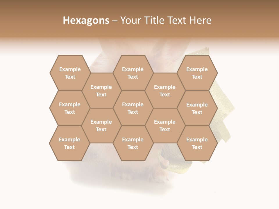 Animal Scarf Fluffy PowerPoint Template