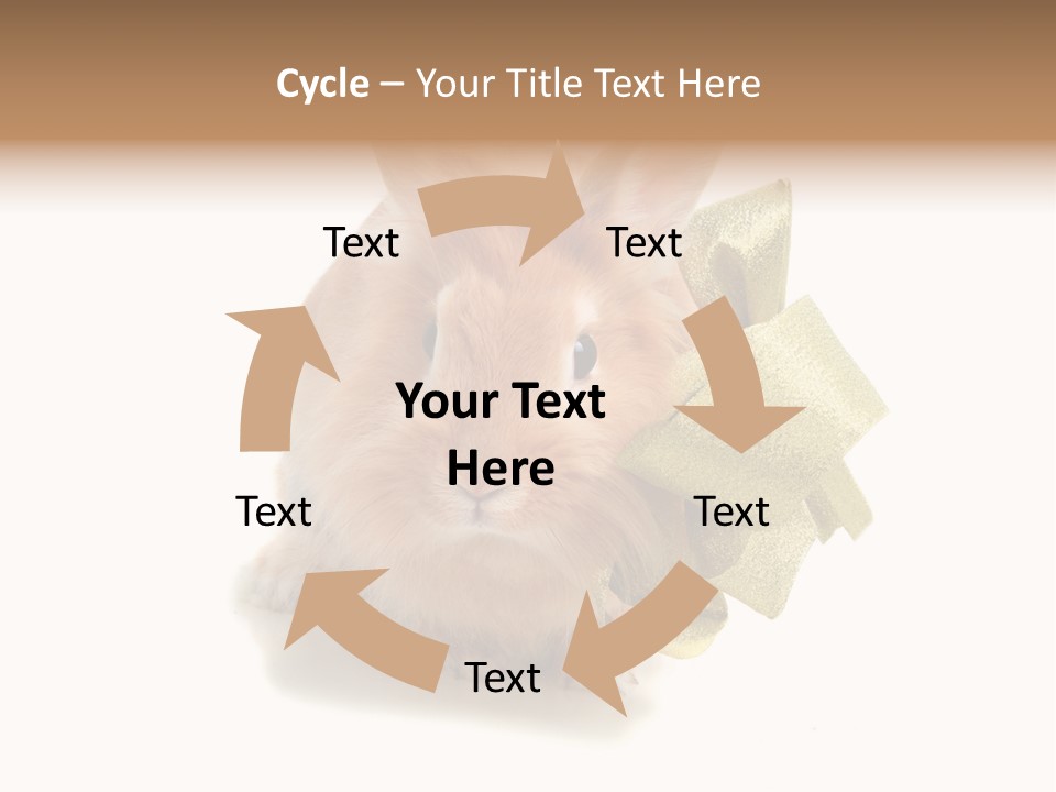 Animal Scarf Fluffy PowerPoint Template