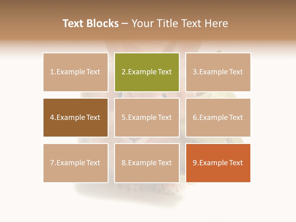 Animal Scarf Fluffy PowerPoint Template