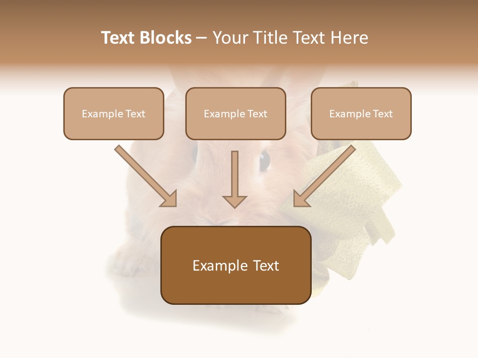 Animal Scarf Fluffy PowerPoint Template