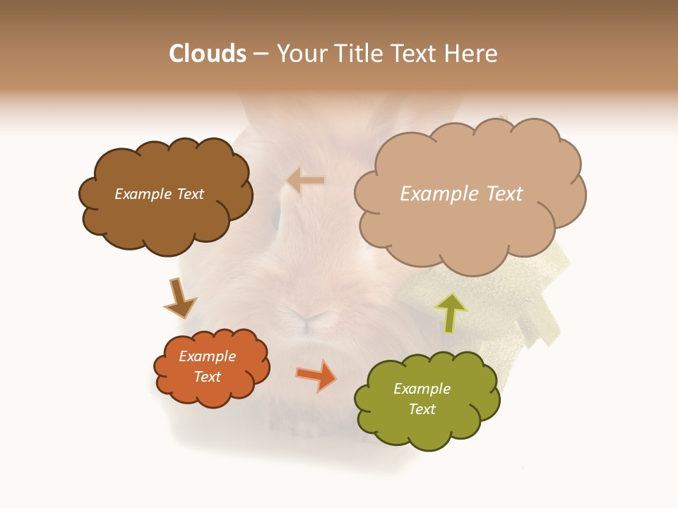 Animal Scarf Fluffy PowerPoint Template