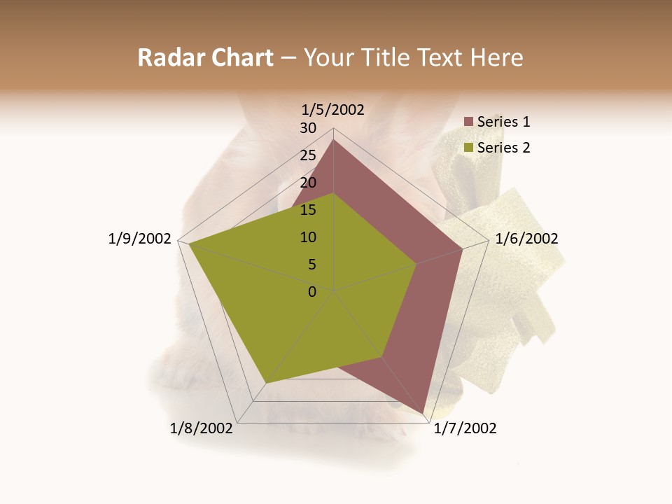 Animal Scarf Fluffy PowerPoint Template