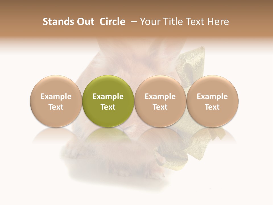 Animal Scarf Fluffy PowerPoint Template