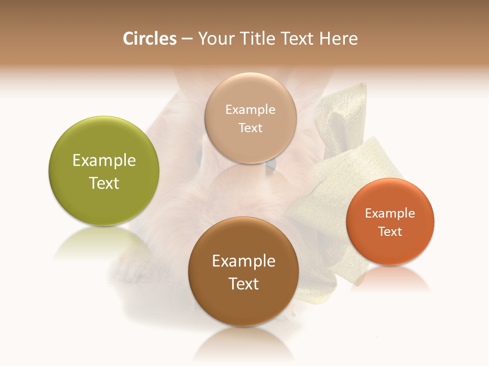 Animal Scarf Fluffy PowerPoint Template