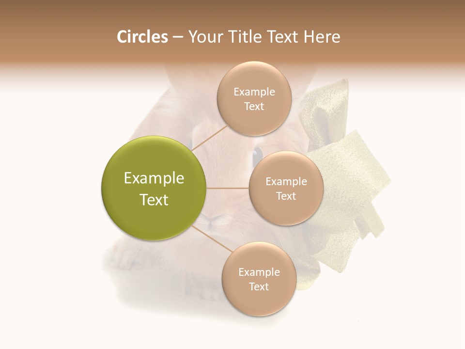 Animal Scarf Fluffy PowerPoint Template