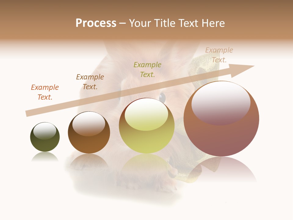 Animal Scarf Fluffy PowerPoint Template