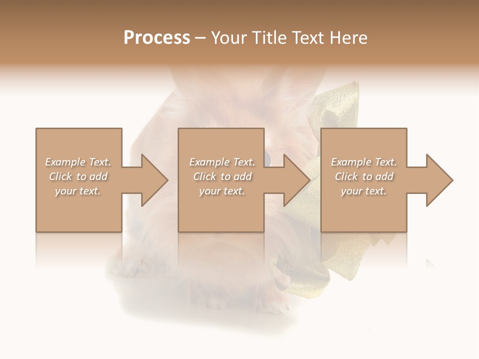 Animal Scarf Fluffy PowerPoint Template