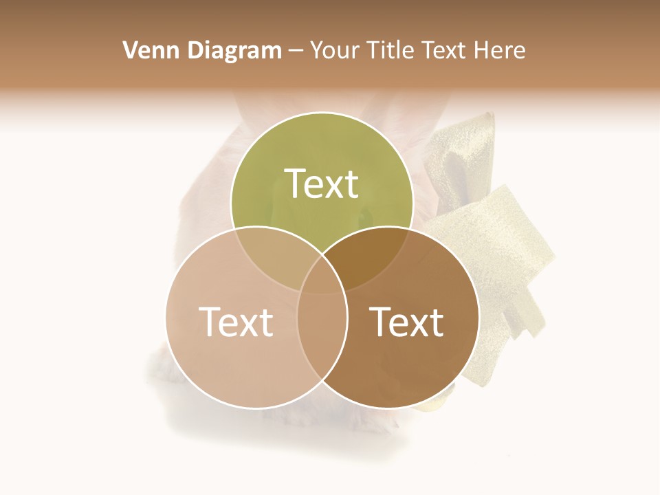 Animal Scarf Fluffy PowerPoint Template