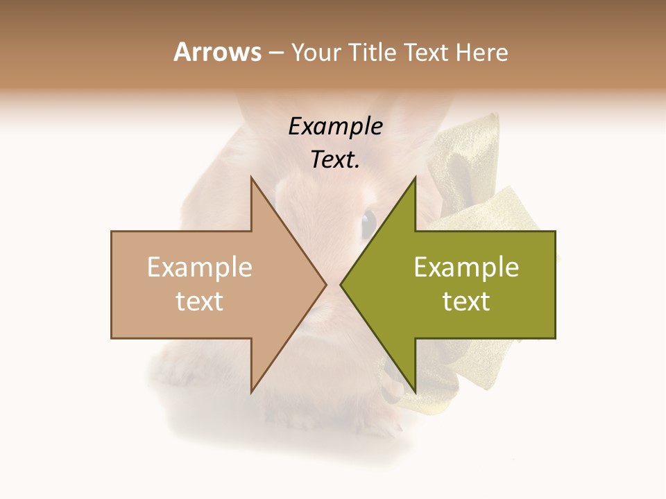 Animal Scarf Fluffy PowerPoint Template