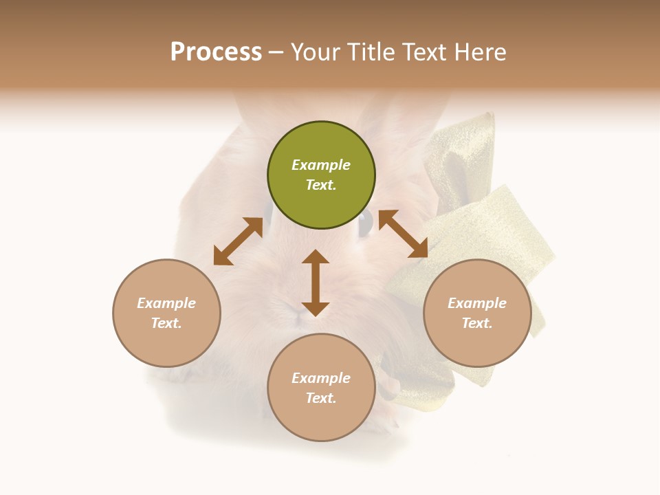 Animal Scarf Fluffy PowerPoint Template