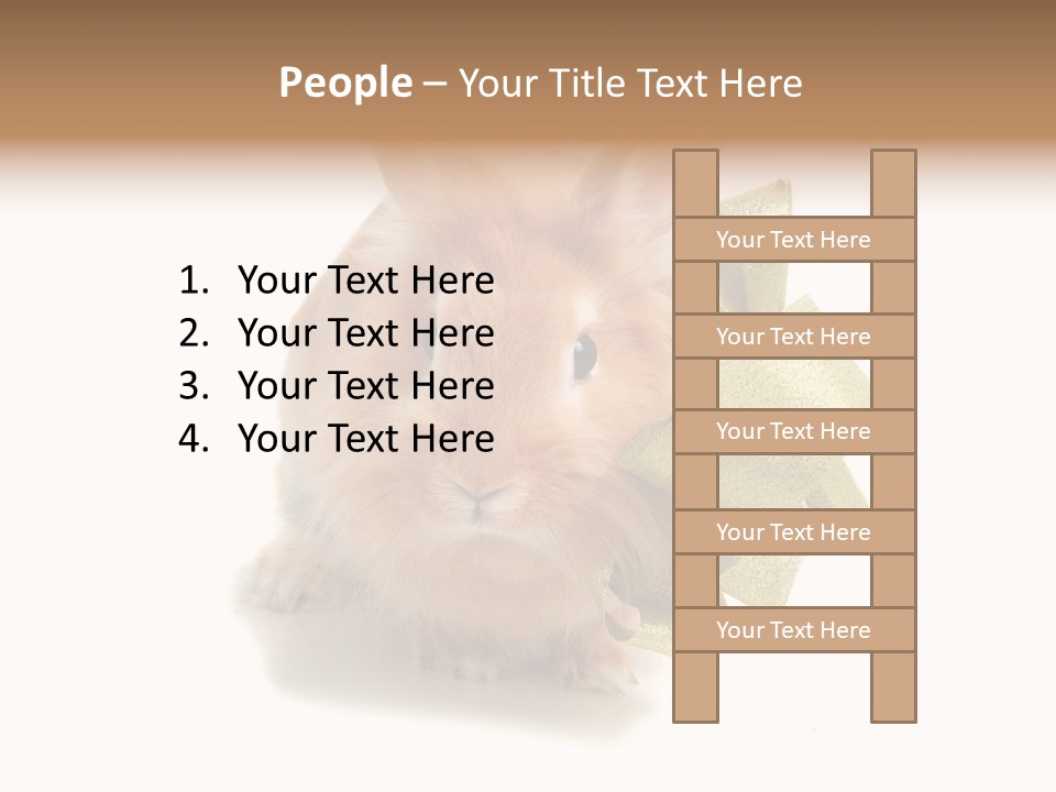 Animal Scarf Fluffy PowerPoint Template
