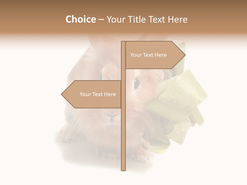 Animal Scarf Fluffy PowerPoint Template