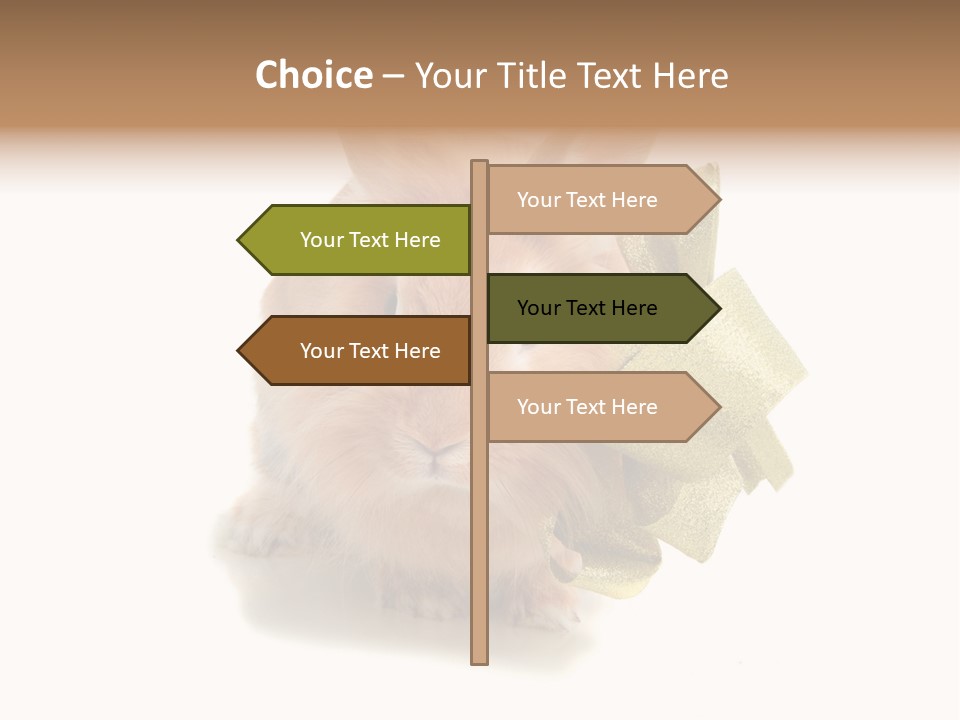 Animal Scarf Fluffy PowerPoint Template