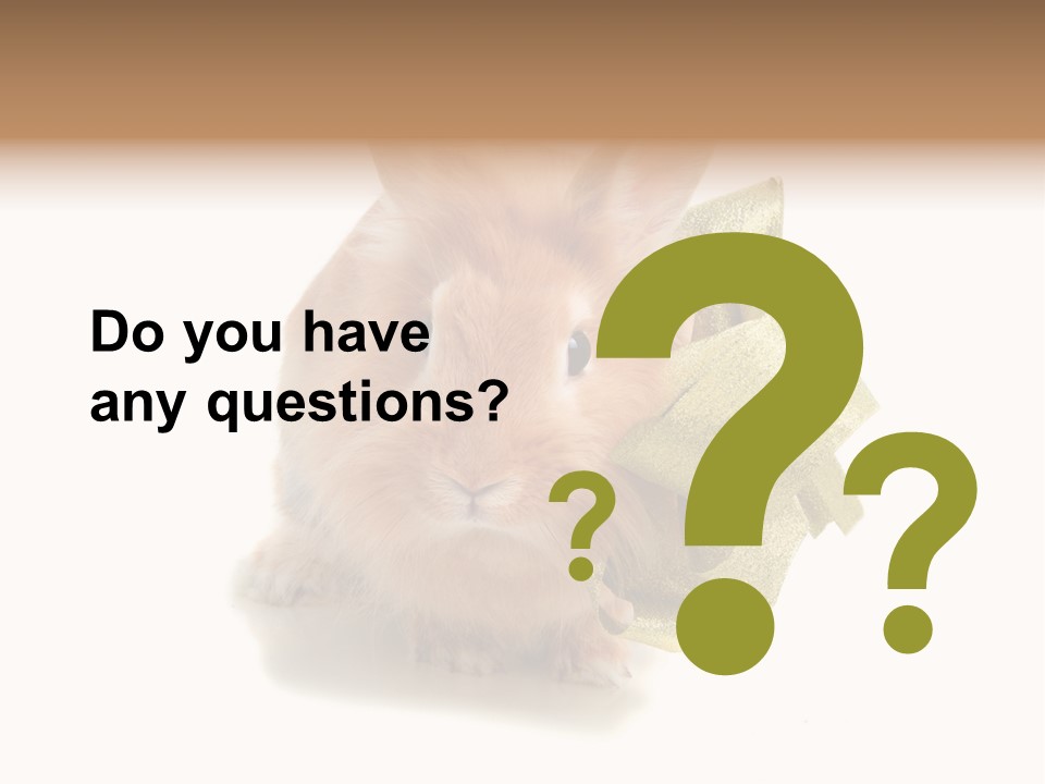 Animal Scarf Fluffy PowerPoint Template