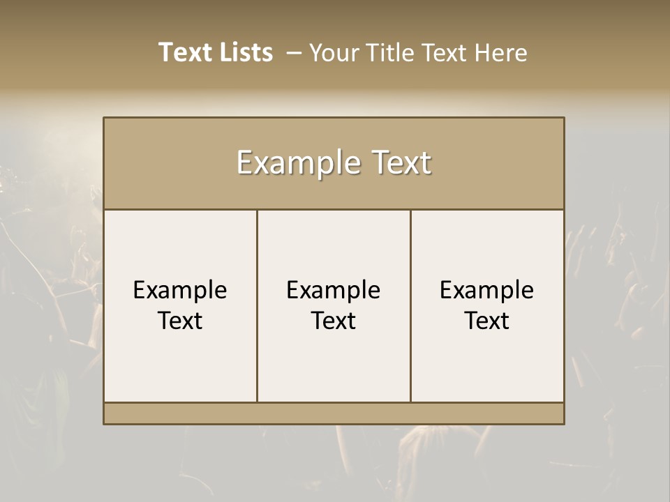 Festival Crowd Spectator PowerPoint Template