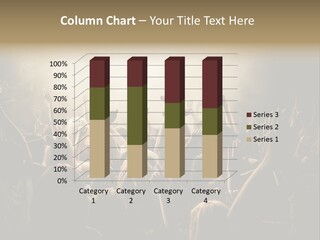 Festival Crowd Spectator PowerPoint Template