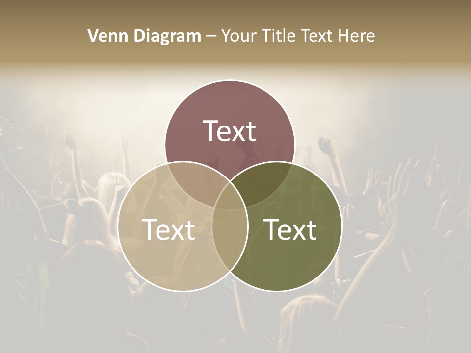 Festival Crowd Spectator PowerPoint Template