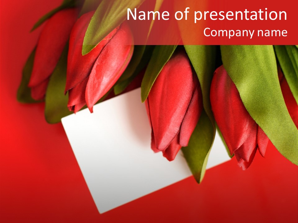 Copy Card Bunch PowerPoint Template