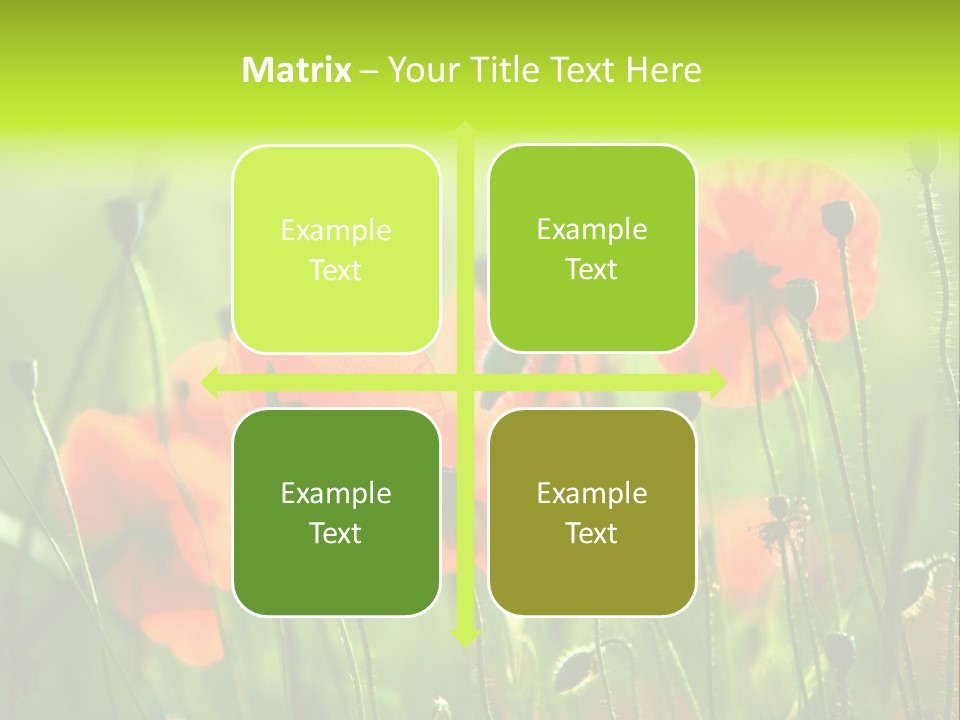 Sunny French Dordogne PowerPoint Template