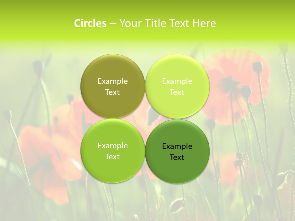 Sunny French Dordogne PowerPoint Template