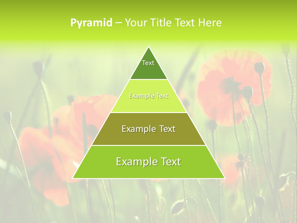 Sunny French Dordogne PowerPoint Template