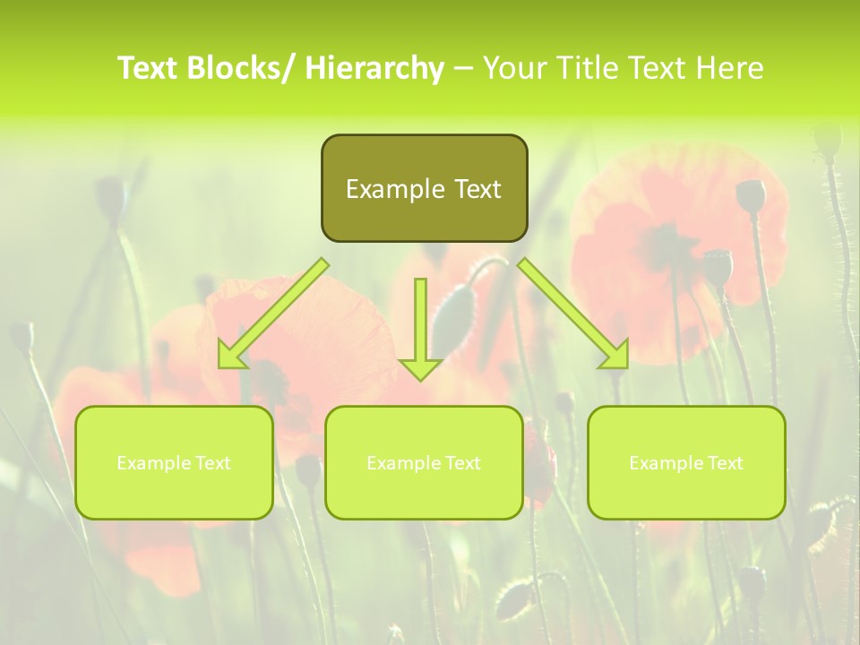 Sunny French Dordogne PowerPoint Template