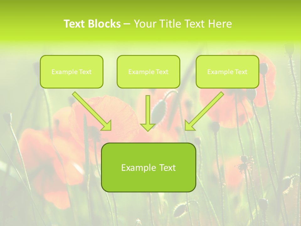 Sunny French Dordogne PowerPoint Template