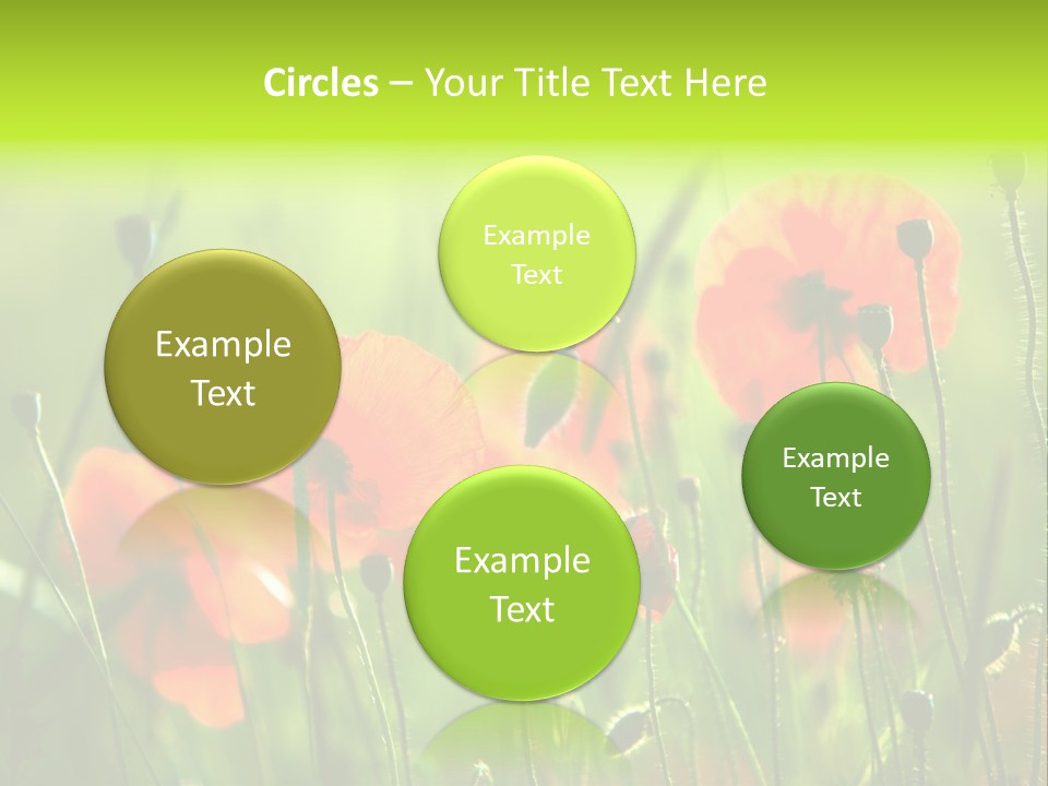 Sunny French Dordogne PowerPoint Template