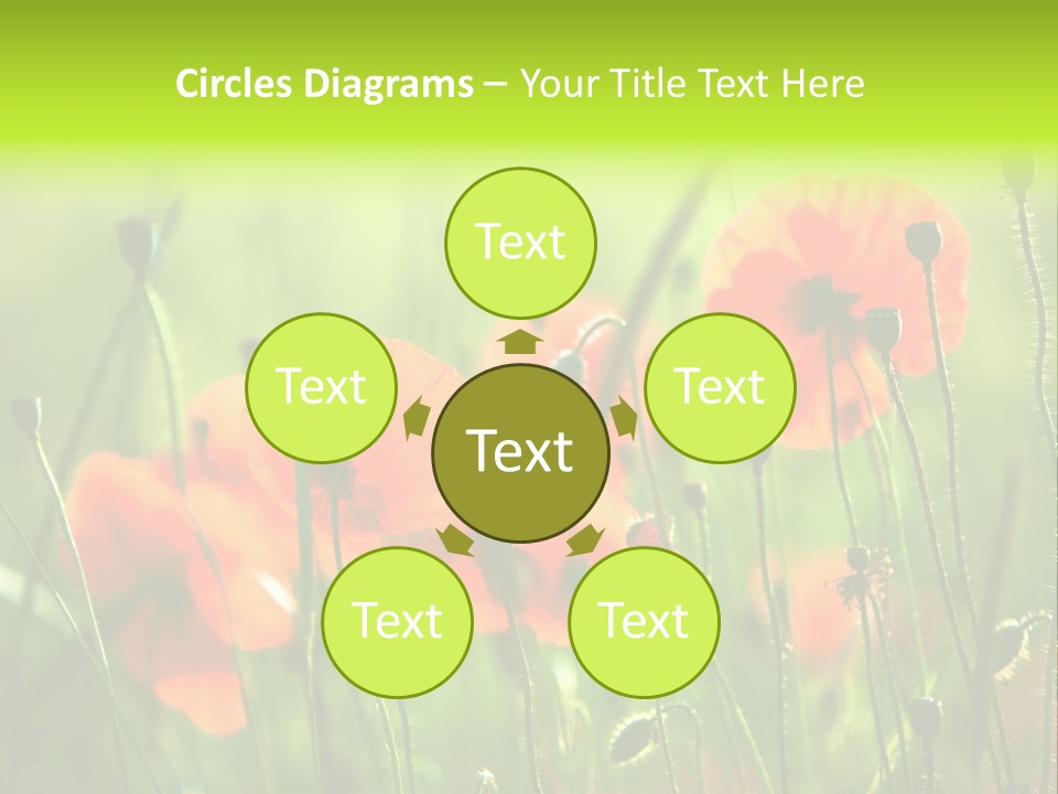 Sunny French Dordogne PowerPoint Template