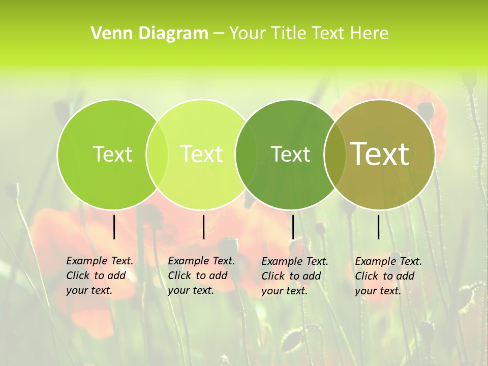 Sunny French Dordogne PowerPoint Template