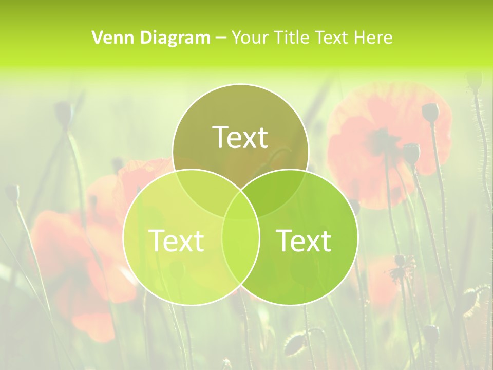 Sunny French Dordogne PowerPoint Template