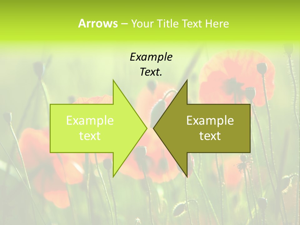 Sunny French Dordogne PowerPoint Template